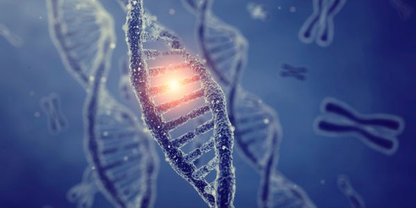 dnk dna